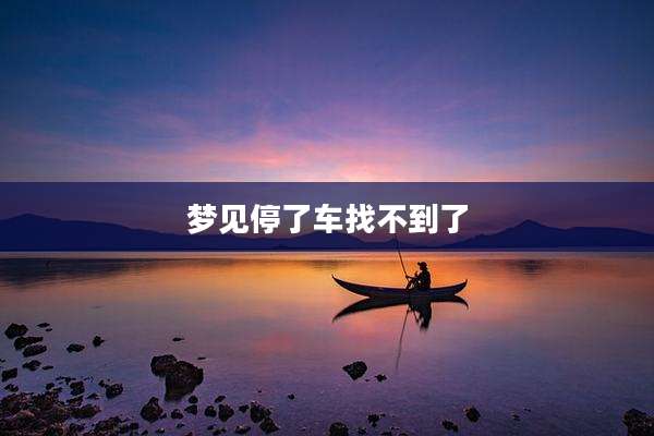 梦见停了车找不到了