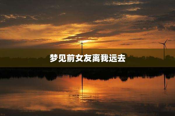 梦见前女友离我远去