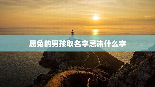 属兔的男孩取名字忌讳什么字