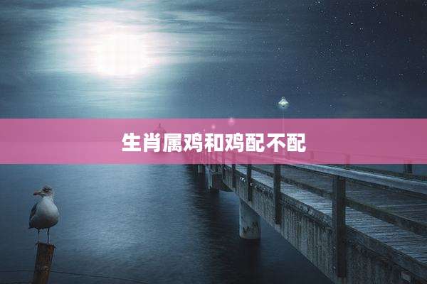 生肖属鸡和鸡配不配