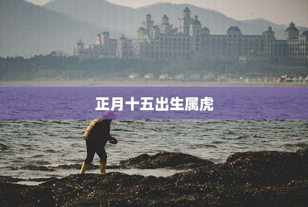 正月十五出生属虎