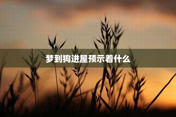 梦到狗进屋预示着什么