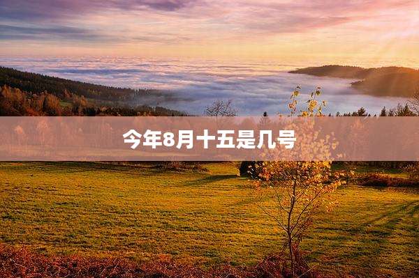 今年8月十五是几号