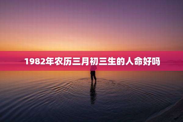 1982年农历三月初三生的人命好吗