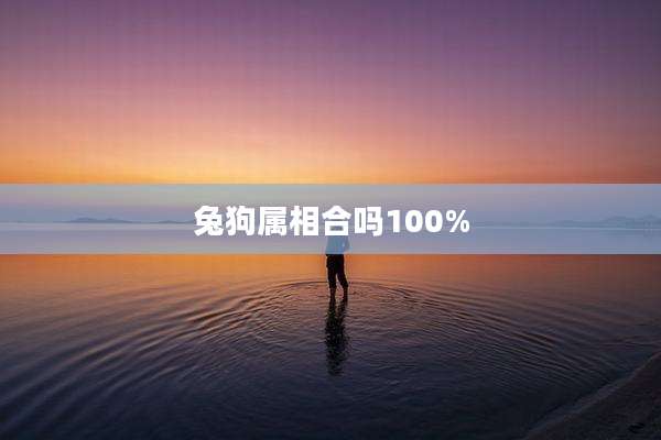 兔狗属相合吗100%