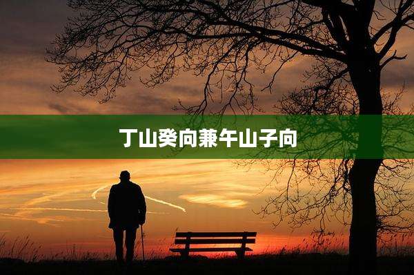 丁山癸向兼午山子向