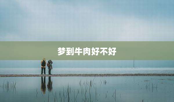梦到牛肉好不好