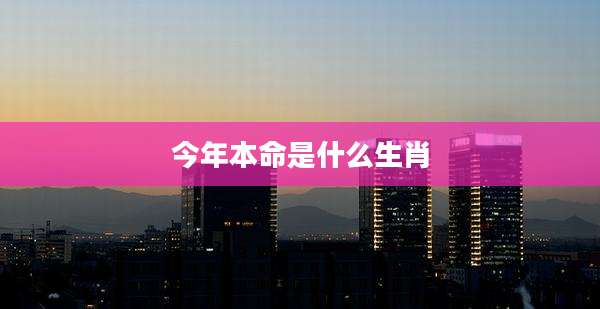 今年本命是什么生肖