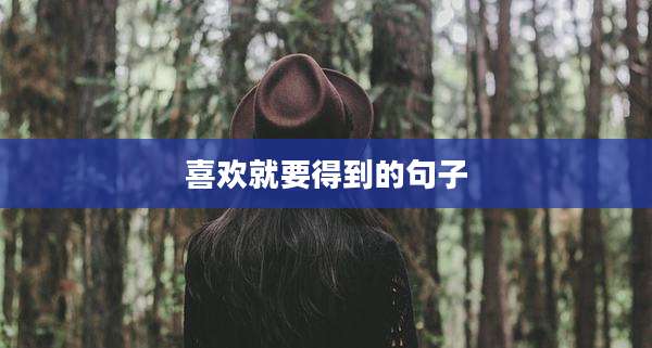 喜欢就要得到的句子