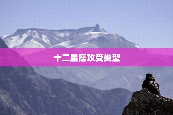 十二星座攻受类型
