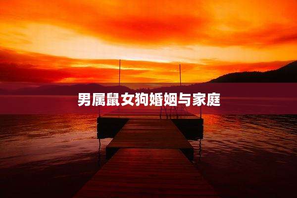 男属鼠女狗婚姻与家庭