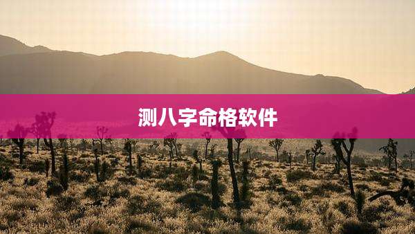 测八字命格软件