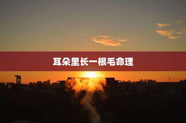 耳朵里长一根毛命理