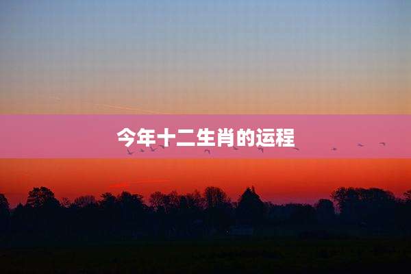 今年十二生肖的运程