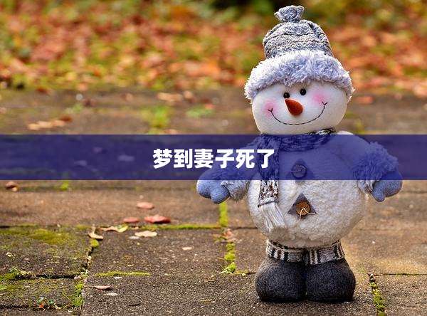 梦到妻子死了