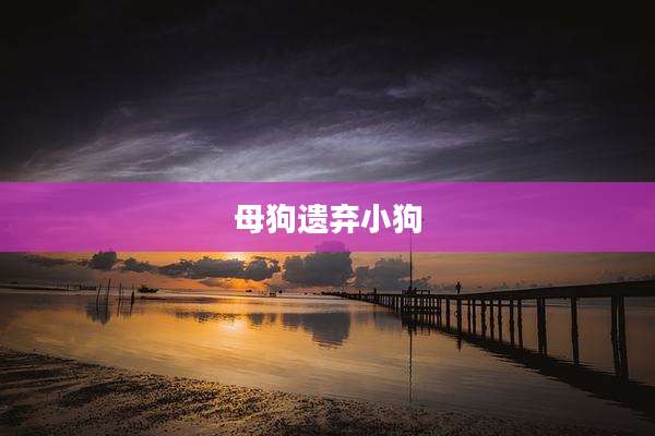 母狗遗弃小狗