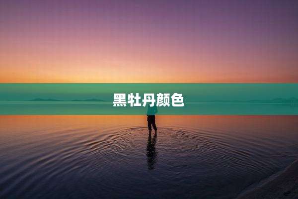 黑牡丹颜色