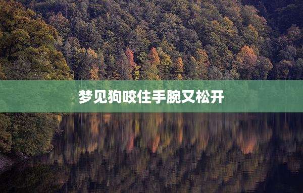 梦见狗咬住手腕又松开