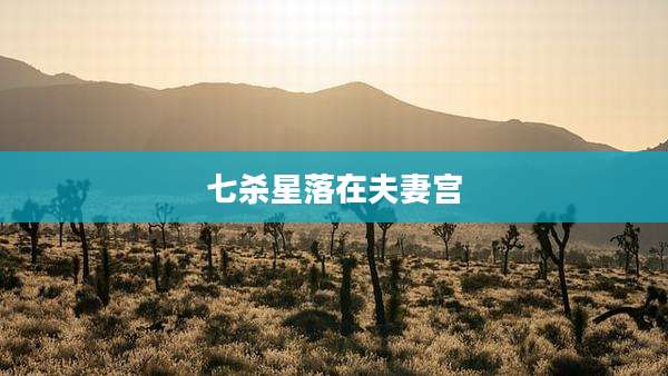 七杀星落在夫妻宫