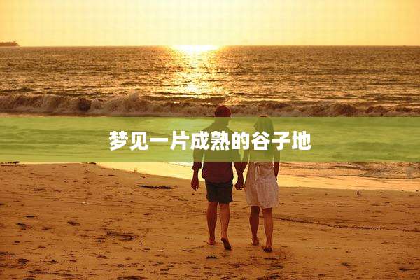 梦见一片成熟的谷子地