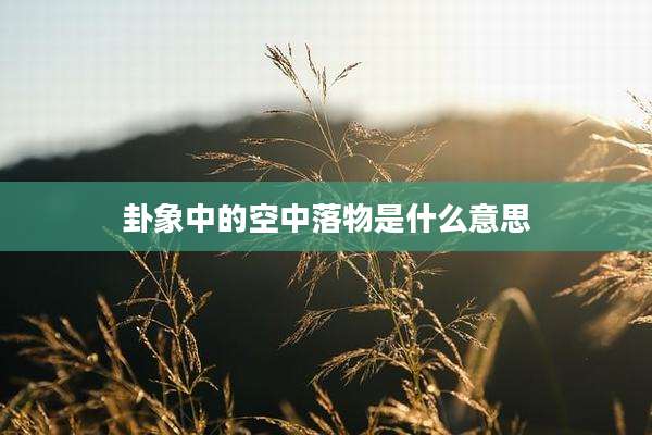 卦象中的空中落物是什么意思