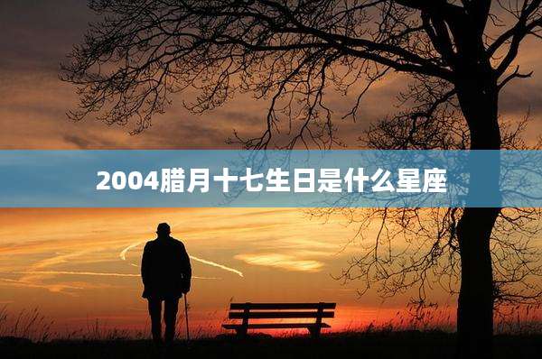 2004腊月十七生日是什么星座