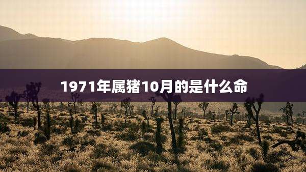 1971年属猪10月的是什么命