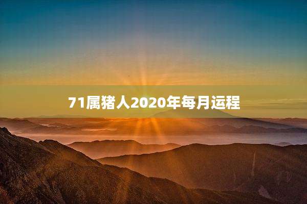 71属猪人2020年每月运程