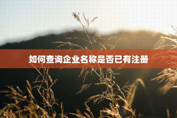 如何查询企业名称是否已有注册