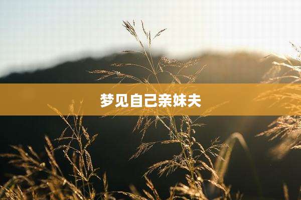 梦见自己亲妹夫