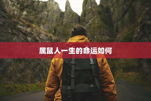 属鼠人一生的命运如何