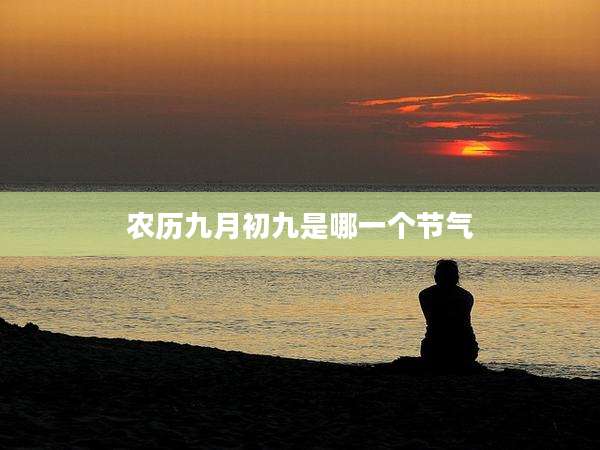 农历九月初九是哪一个节气