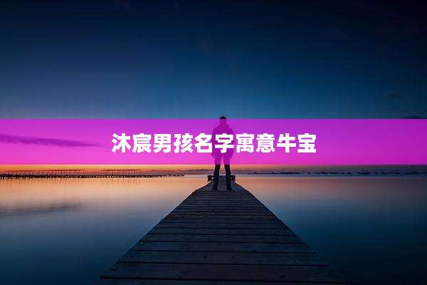 沐宸男孩名字寓意牛宝