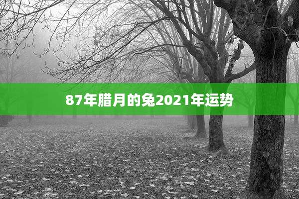 87年腊月的兔2021年运势