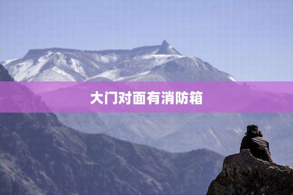 大门对面有消防箱