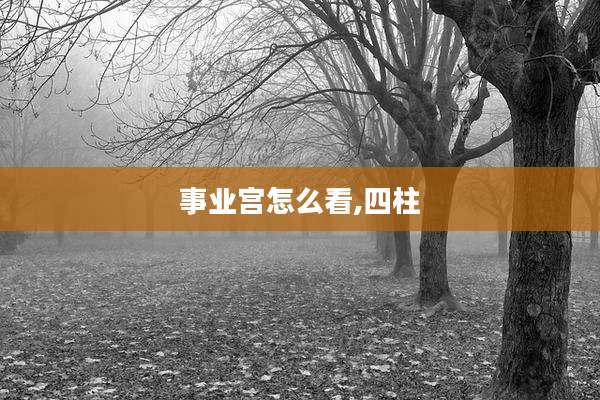事业宫怎么看,四柱