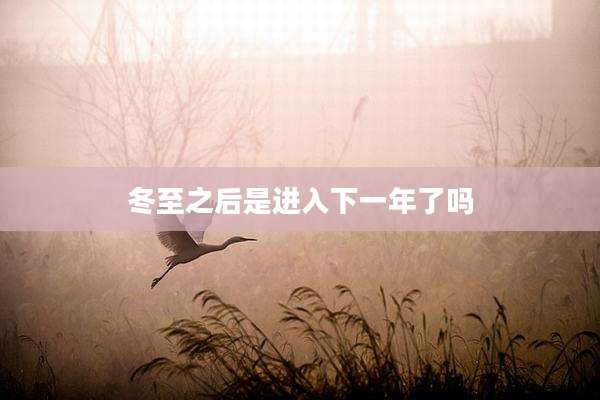 冬至之后是进入下一年了吗