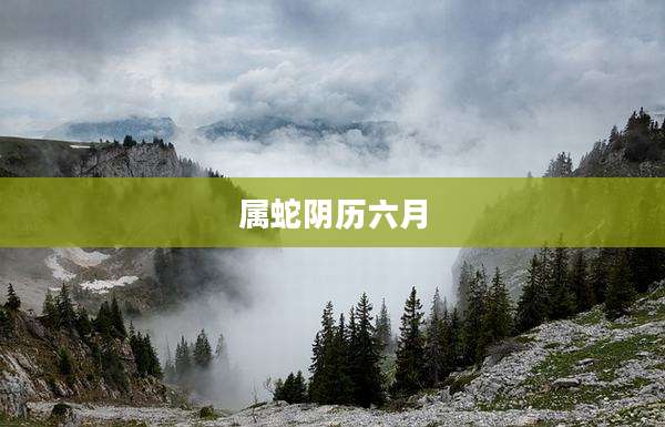 属蛇阴历六月