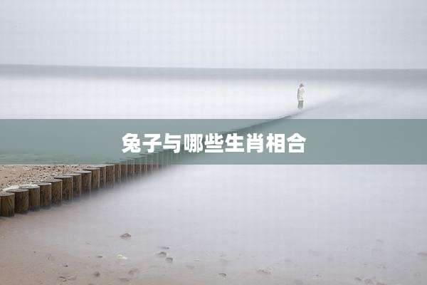 兔子与哪些生肖相合