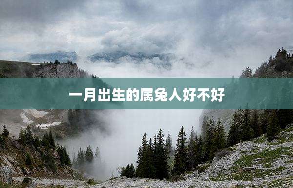 一月出生的属兔人好不好