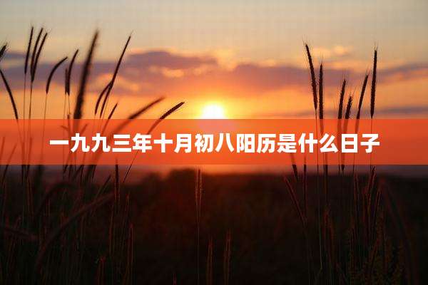 一九九三年十月初八阳历是什么日子