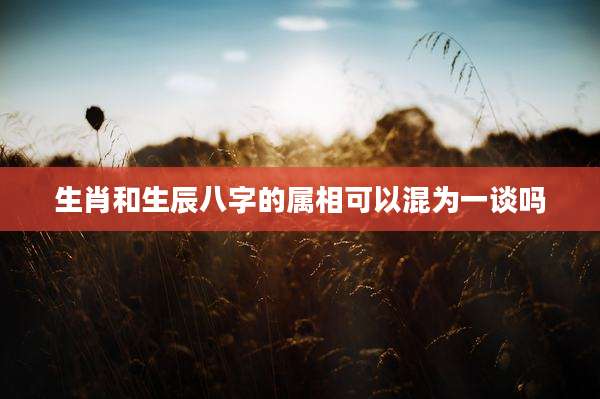 生肖和生辰八字的属相可以混为一谈吗