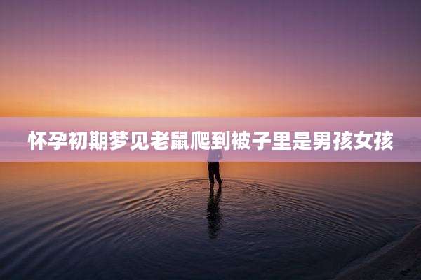 怀孕初期梦见老鼠爬到被子里是男孩女孩
