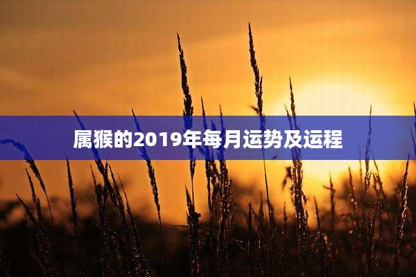 属猴的2019年每月运势及运程