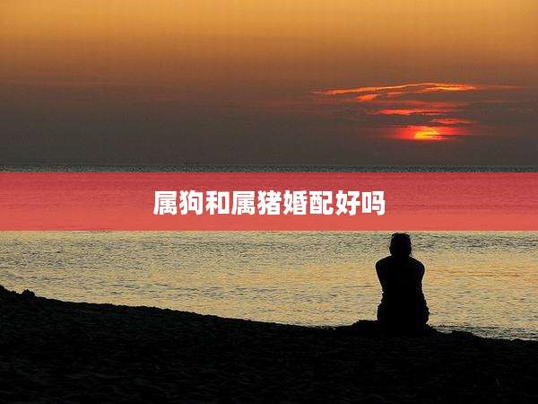 属狗和属猪婚配好吗