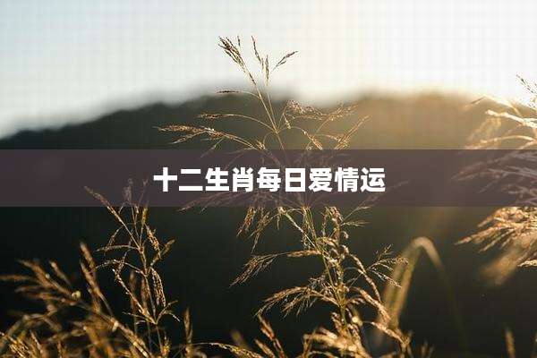 十二生肖每日爱情运