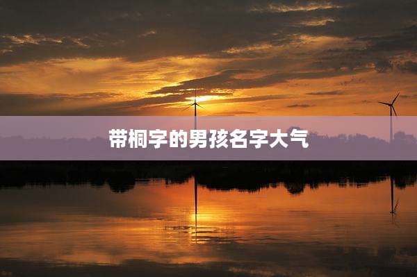 带桐字的男孩名字大气