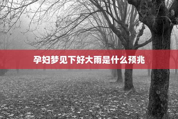 孕妇梦见下好大雨是什么预兆