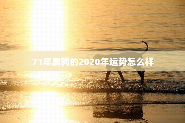 71年属狗的2020年运势怎么样