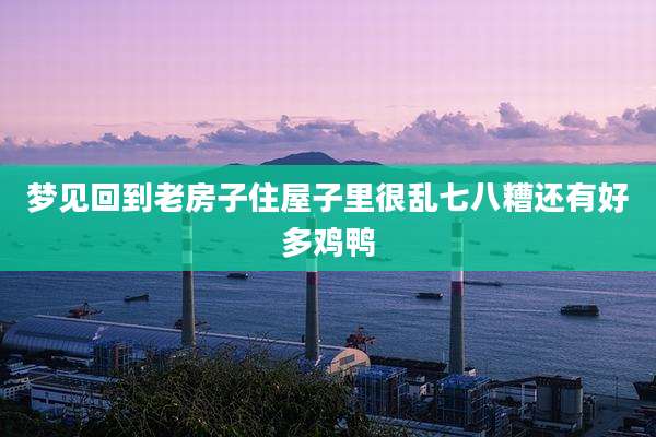 梦见回到老房子住屋子里很乱七八糟还有好多鸡鸭
